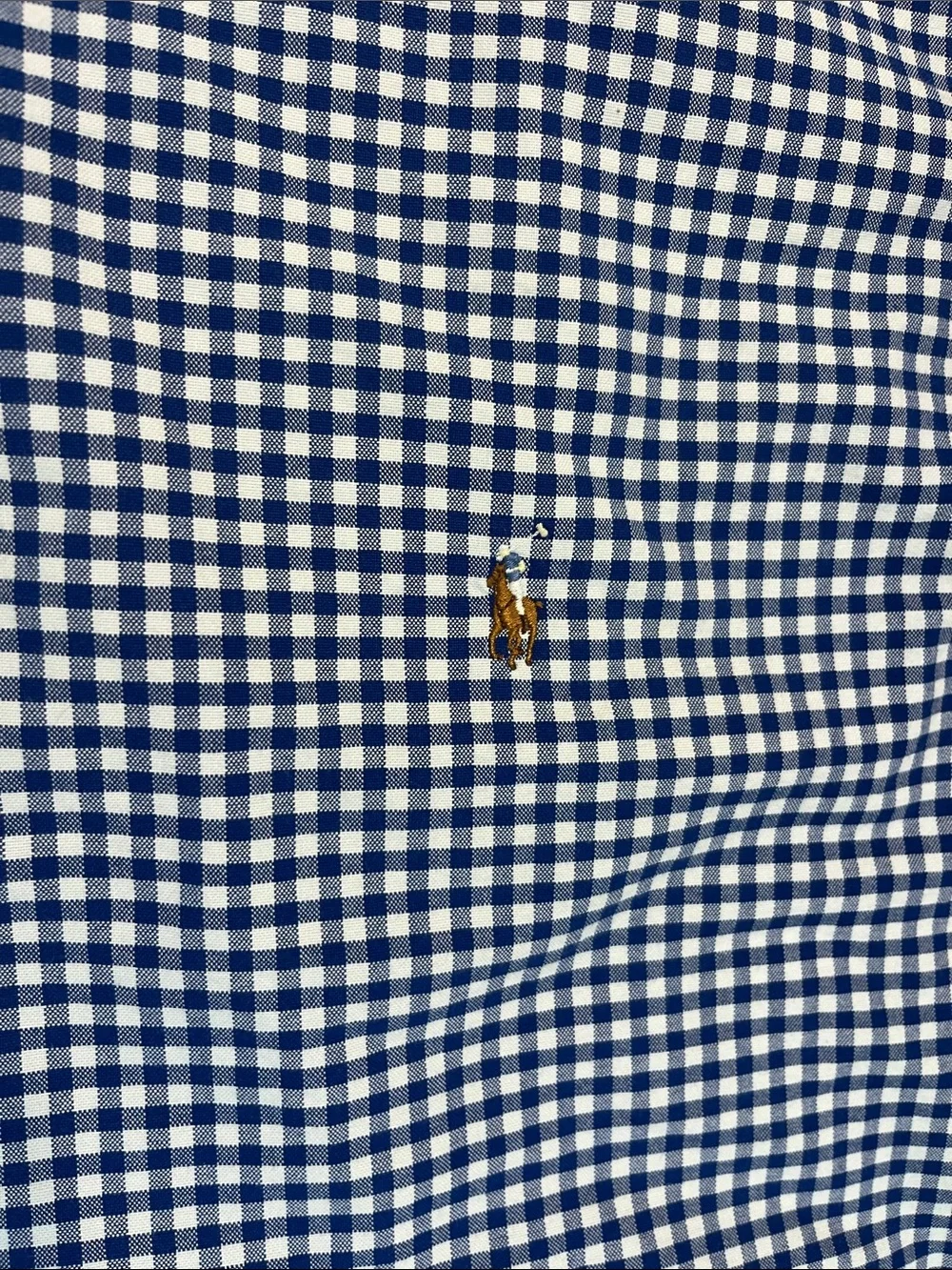 Ralph Lauren Blue and White Gingham Button-Down Shirt 4XLT